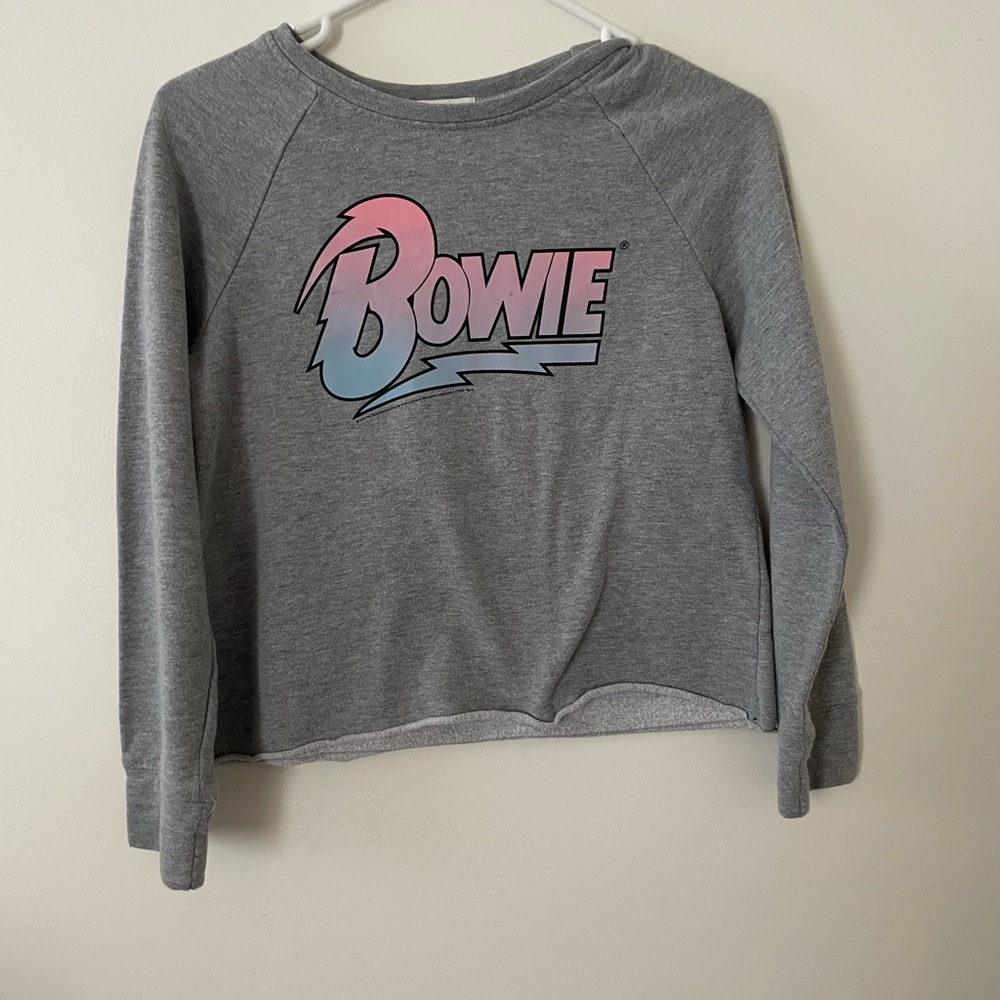 Kids Gray Bowie Sweatshirt